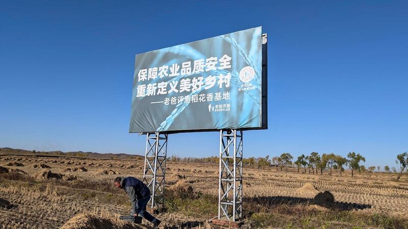 五常大米是东北的金字招牌,今年拥政村正式启动“小农种碳”专案,试图找出农业永续之路。