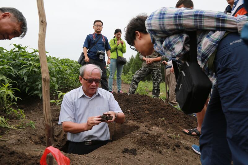 台湾大学农业化学系名誉教授陈尊贤（中）考察东北万亩田试验区。