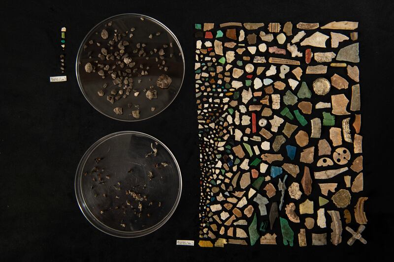 A study indicates plastic ingested by seabird chicks damages internal organs and the brain.