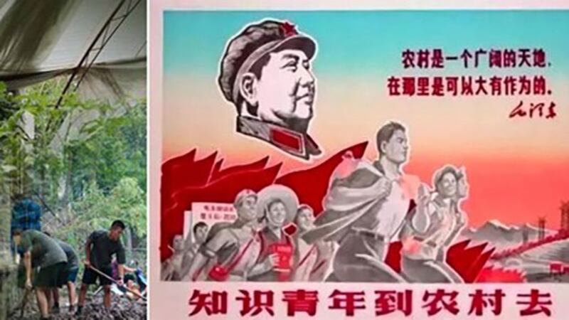 组合图片:中国政府七部门发布通知,鼓励高校毕业生到城乡社区就业创业,而中国共青团提出要在2022年前动员上千万大中专学生下乡,参与农村发展建设。文革结束四十多年后,“上山下乡”要复活了吗?(法新社档案照)