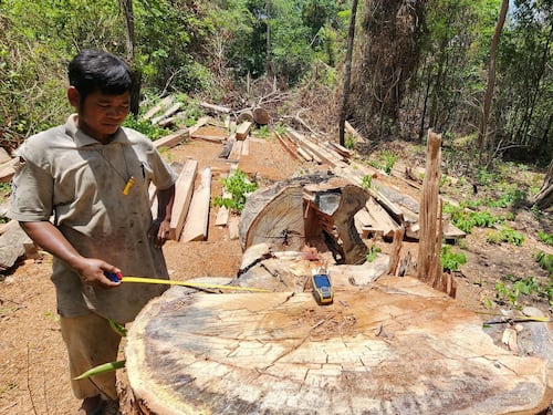 ជនជាតិដើមភាគតិចថា បទល្មើសព្រៃឈើនៅព្រៃព្រះរការ ជារបាយការណ៍ពិត