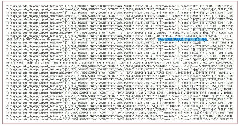 泄漏的数据库样本中,记录公安局重点监控的"七类重点人口"(网络截图)