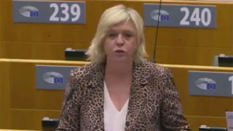 报告人比利时自由党议员沃特曼斯(Hilde Vautmans)。(视频截图/Hilde Vautmans @hildevautmans)