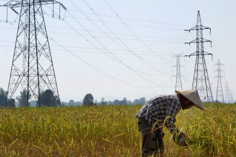 A farmer works in a paddy field under the power lines near Nam Theun 2 dam in Khammouane province in 2013. In September 2020, Laos state-owned energy company partnered with China Southern Power Grid Company to create the Électricité du Laos Transmission Company, of which China Southern has a controlling share and will manage Laos' power grid for the next 25 years. Credit: Aubrey Belford/Reuters