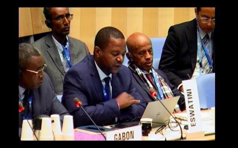 史瓦帝尼代表力挺台湾。(翻摄自世卫官网直播)