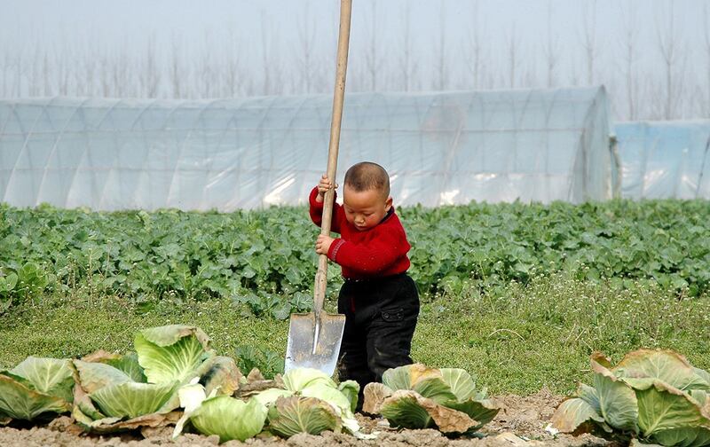 中央农村工作会议日前在北京举行,中国领导人习近平对"三农"工作作出指示。(路透社图片)